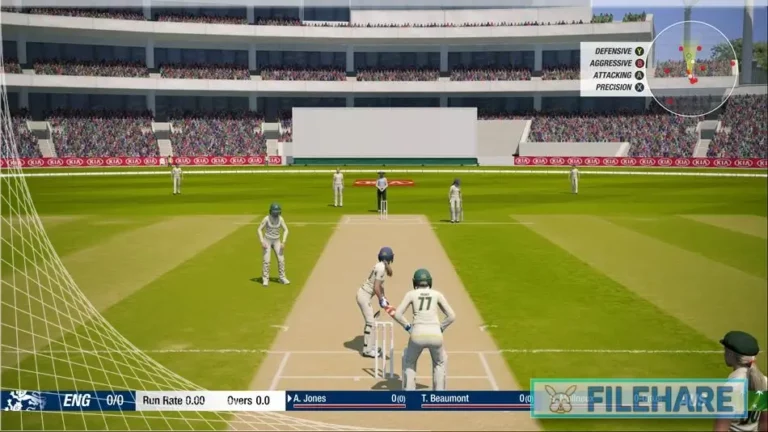 Cricket 19