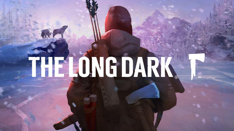 The Long Dark PC Game