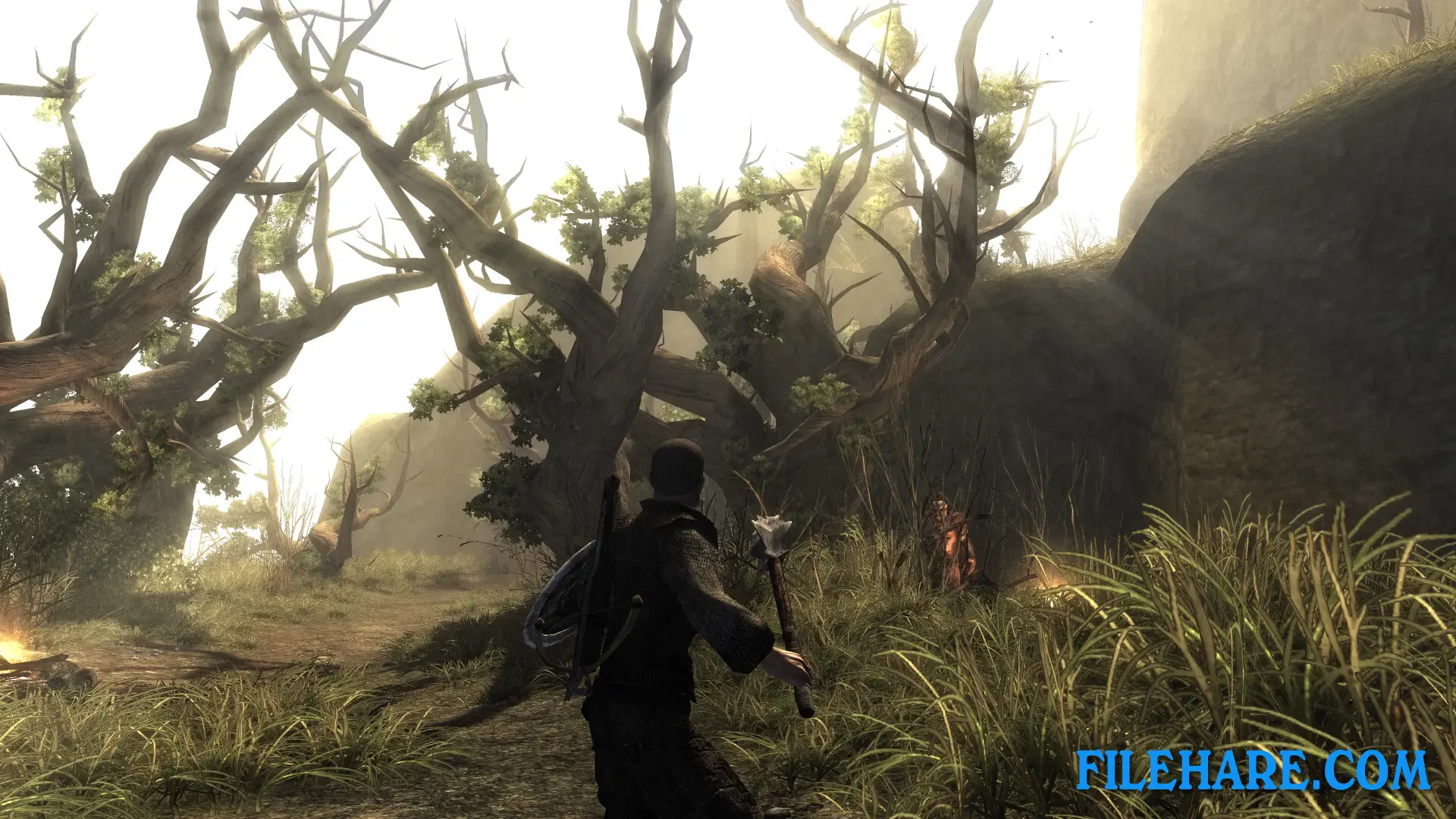Risen PC Game Screenshots 2