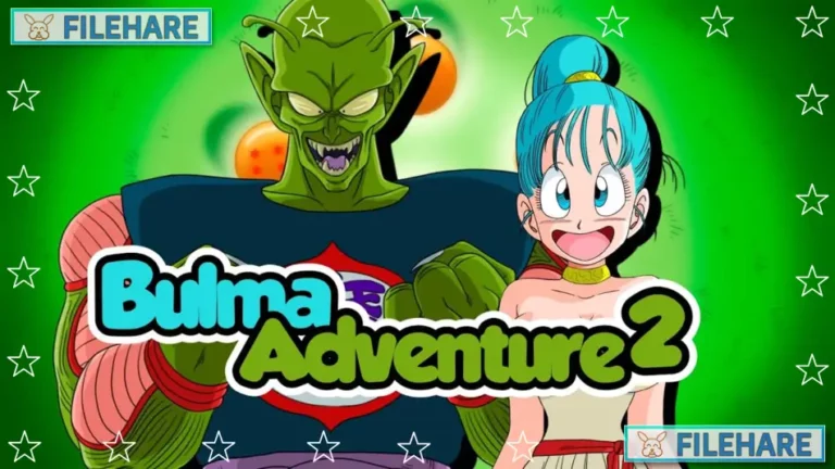 Bulma Adventure 2