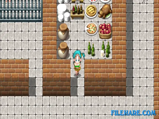 Bulma Adventure 2 PC Game Screenshots 1