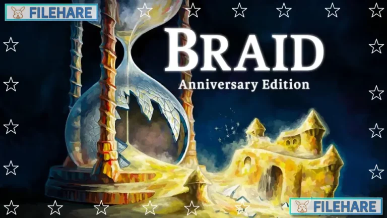 Braid, Anniversary Edition