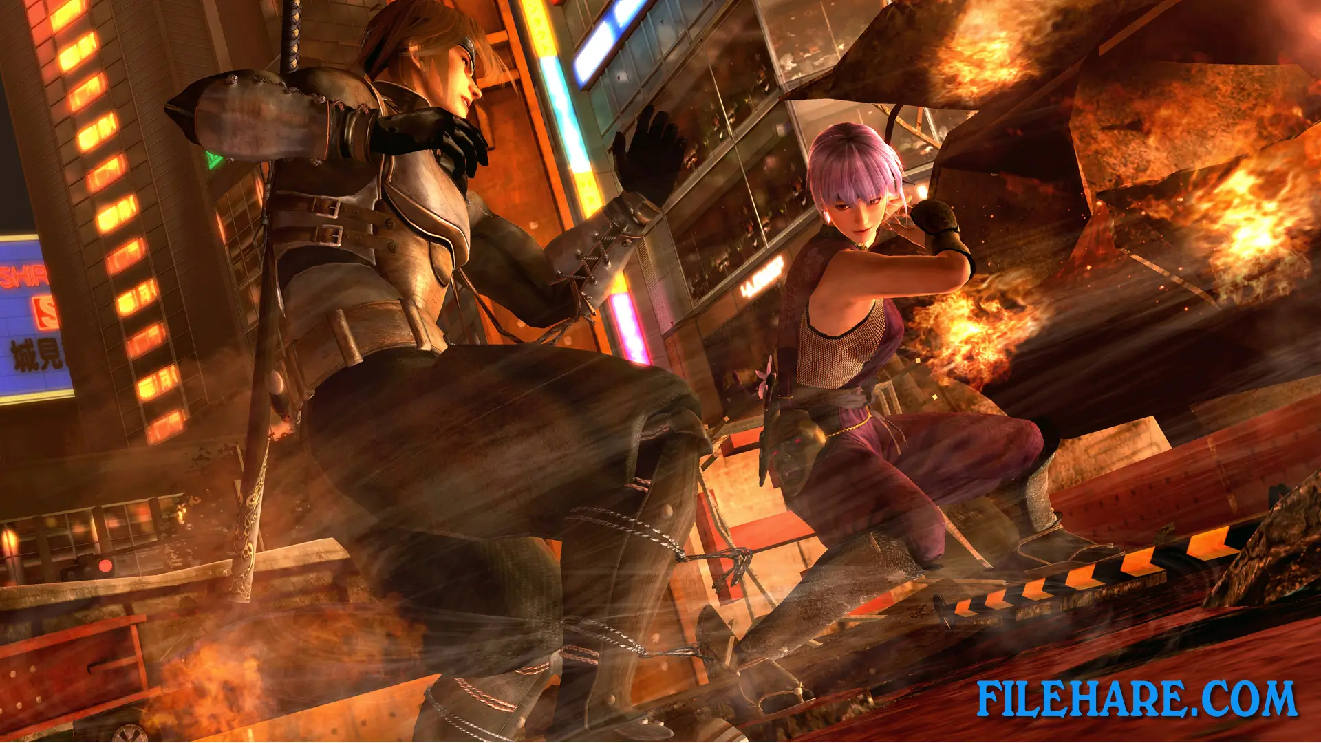 DEAD OR ALIVE 5: Last Round PC Game Screenshots 3
