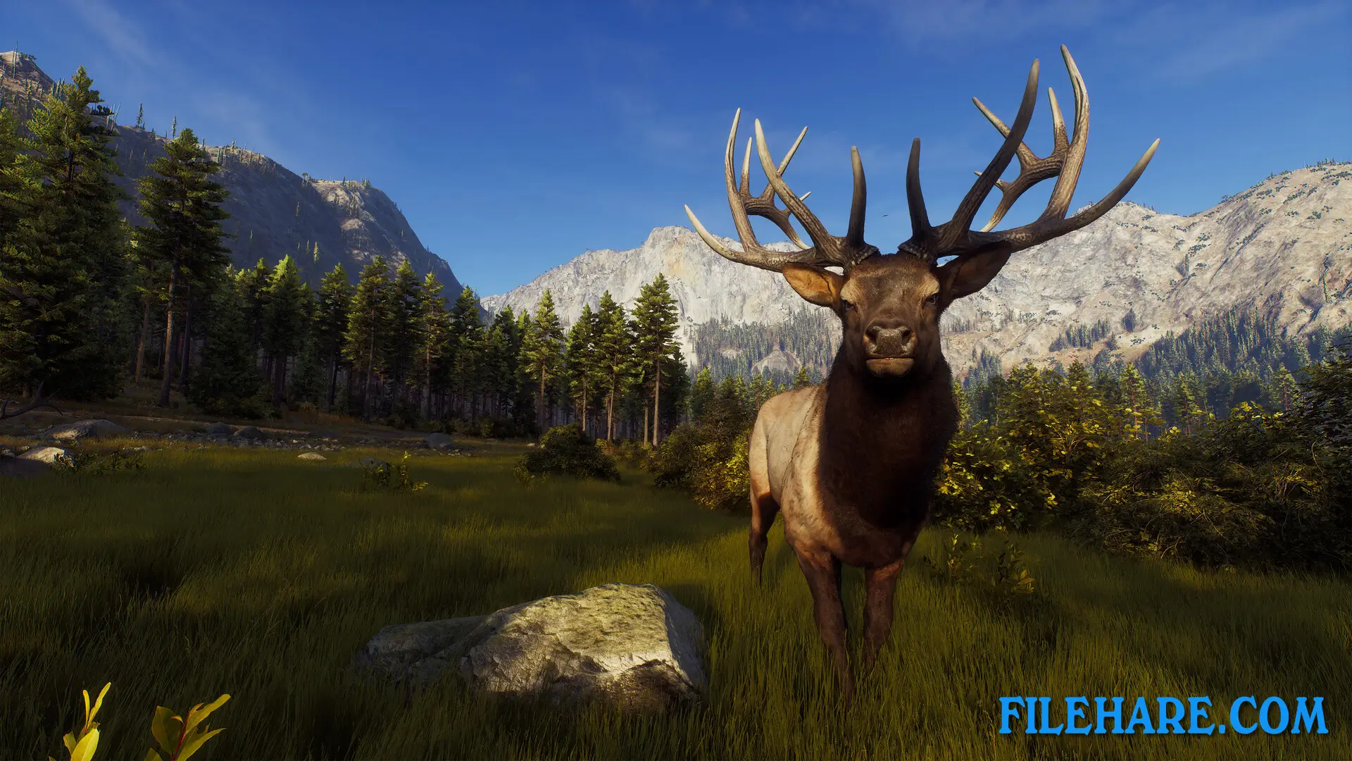 Way of the Hunter PC Game Screenshots 1
