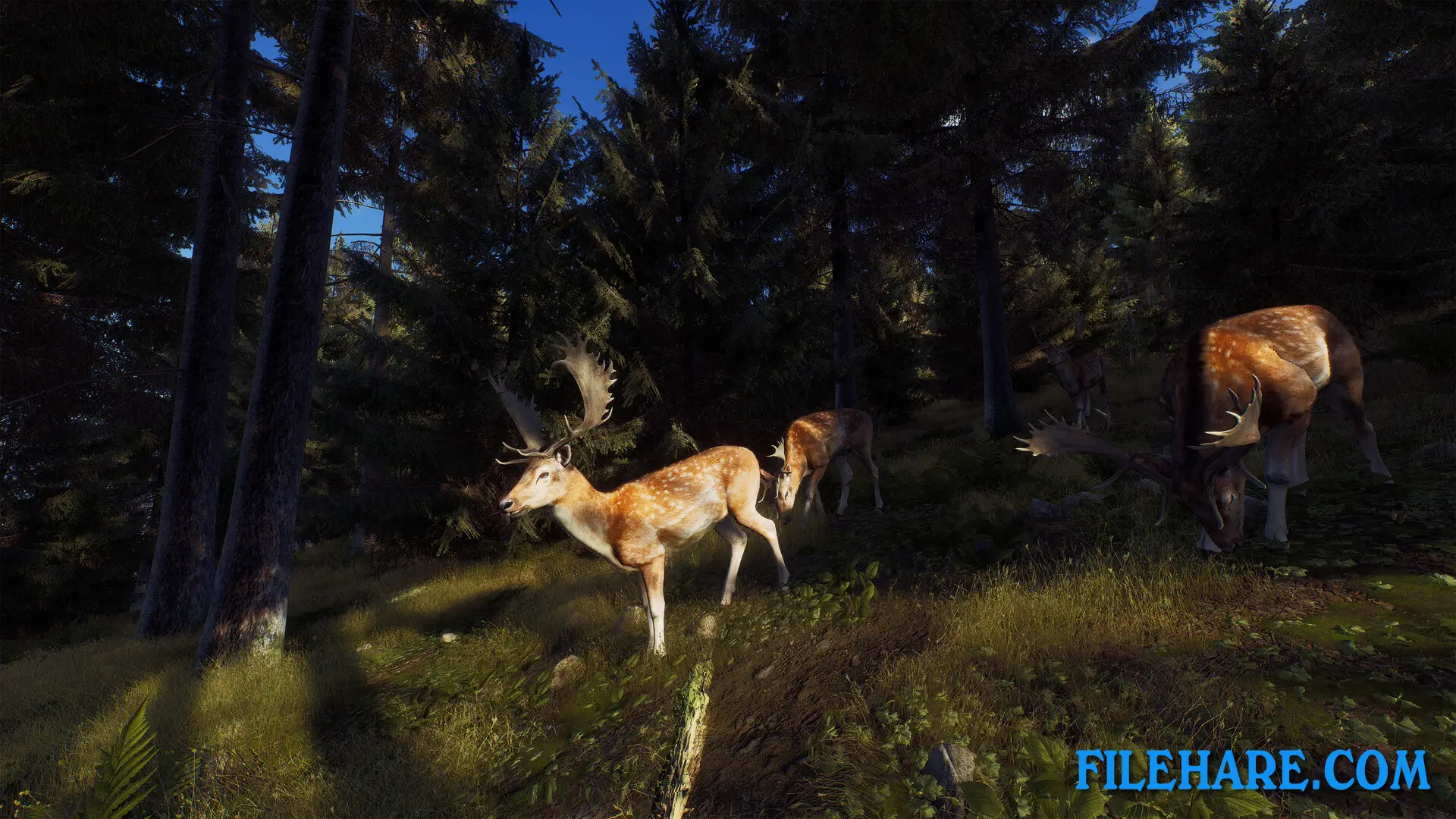 Way of the Hunter PC Game Screenshots 2