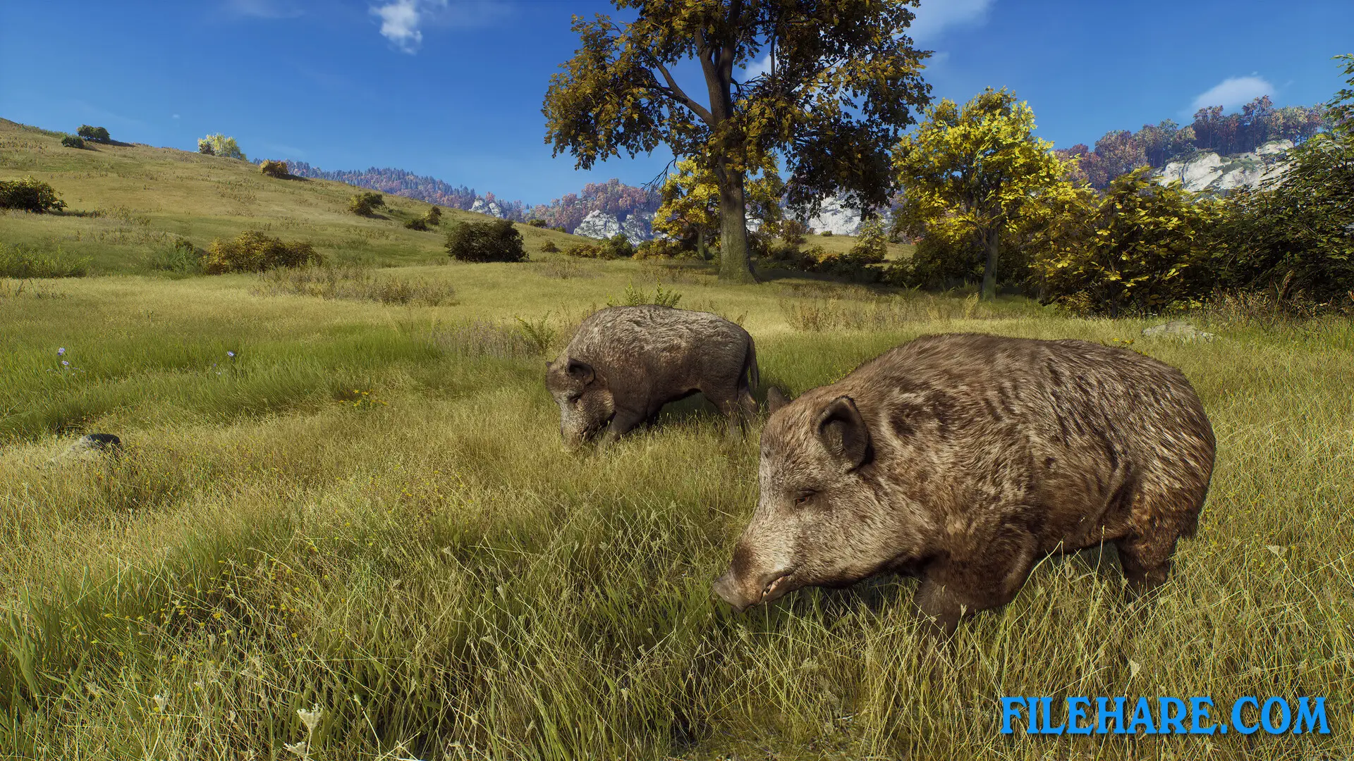 Gameplay Screenshots 4