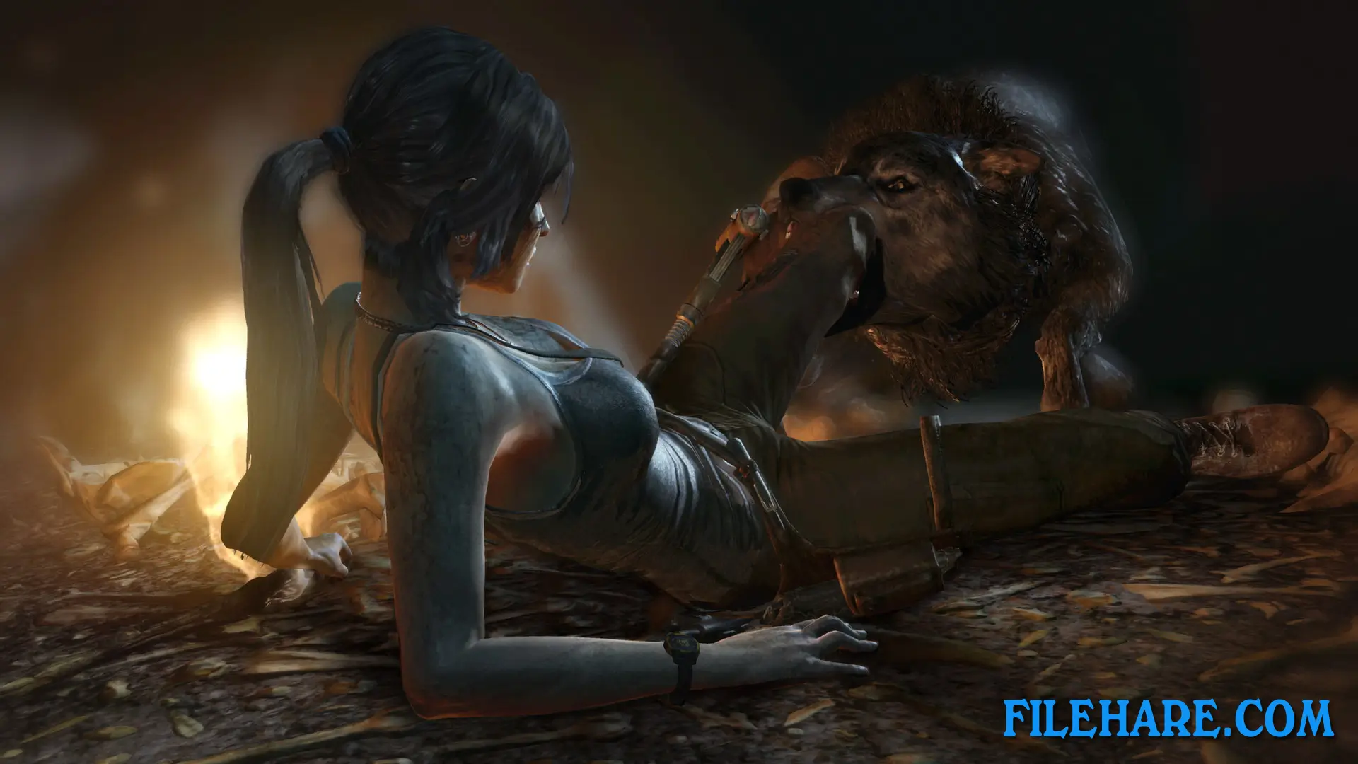 Tomb Raider: Definitive Edition PC Game Screenshots 3