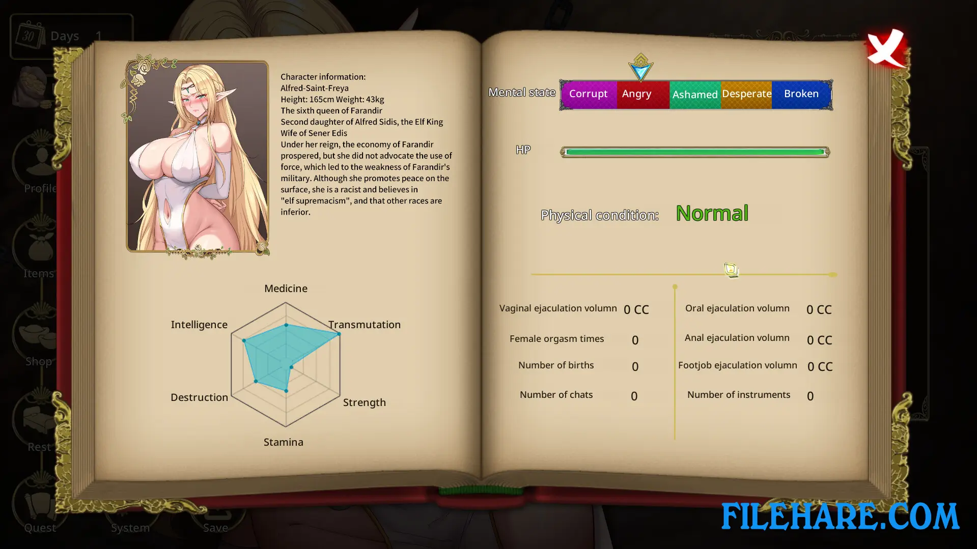 Fallen Elf Freya PC Game Screenshots 2